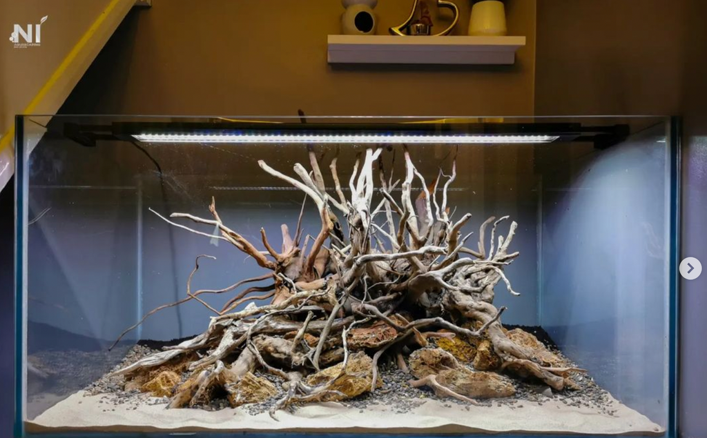 Fish tank fashion wood